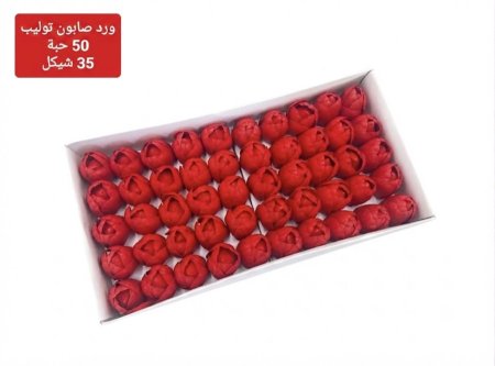 ورد صابون توليب